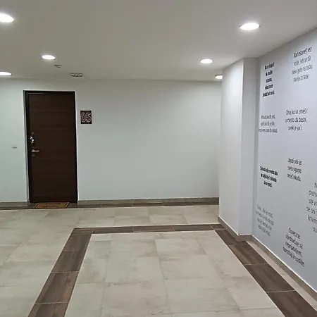 Picasso Kota 992 * Дивчибаре