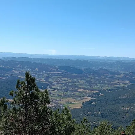 Picasso Kota 992 * Дивчибаре