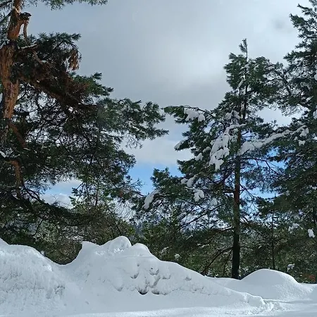 Апартаменты Picasso Kota 992